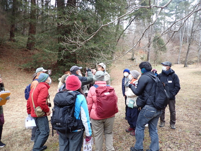 第11回 自然観察講座「植物なぜなぜ入門」冬編 ～冬芽のふしぎ発見～