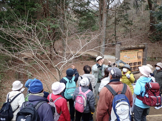 第12回 自然観察講座「春に出会おう」～木々の芽吹き～