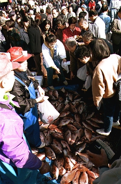 第43回 下関さかな祭