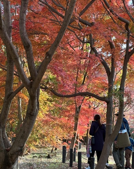 レンジャーガイド付きノルディックウォーキング教室@中藤公園