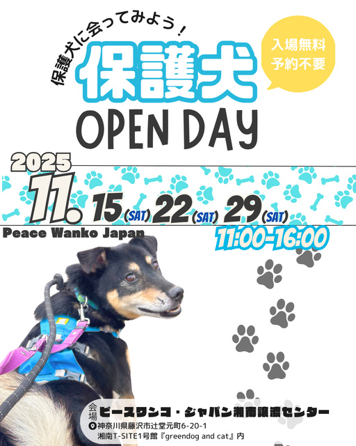 保護犬OPEN DAY
