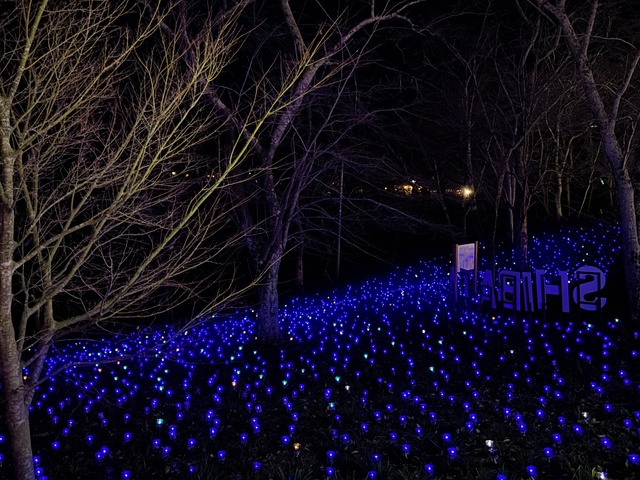 しばたファンタジーイルミネーション2025