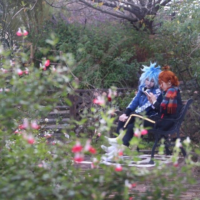 コスプレの日（11月）